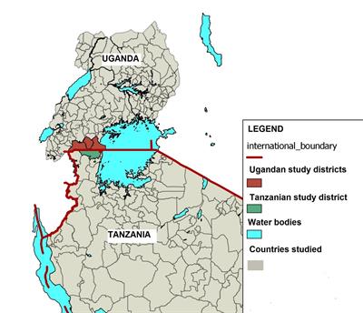 Household production and consumption impacts of foot and mouth disease at the Uganda-Tanzania border